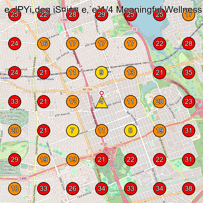 e‹JPYi„deg iS¤i†¤ e‚´e³1/4 Meaningful Wellness & Aesthetics GeoGrid visibility map for Medical Spa in Queens